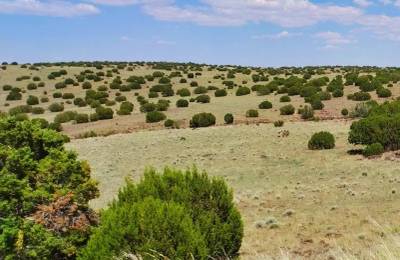 Good roads, close to Concho AND Show Low