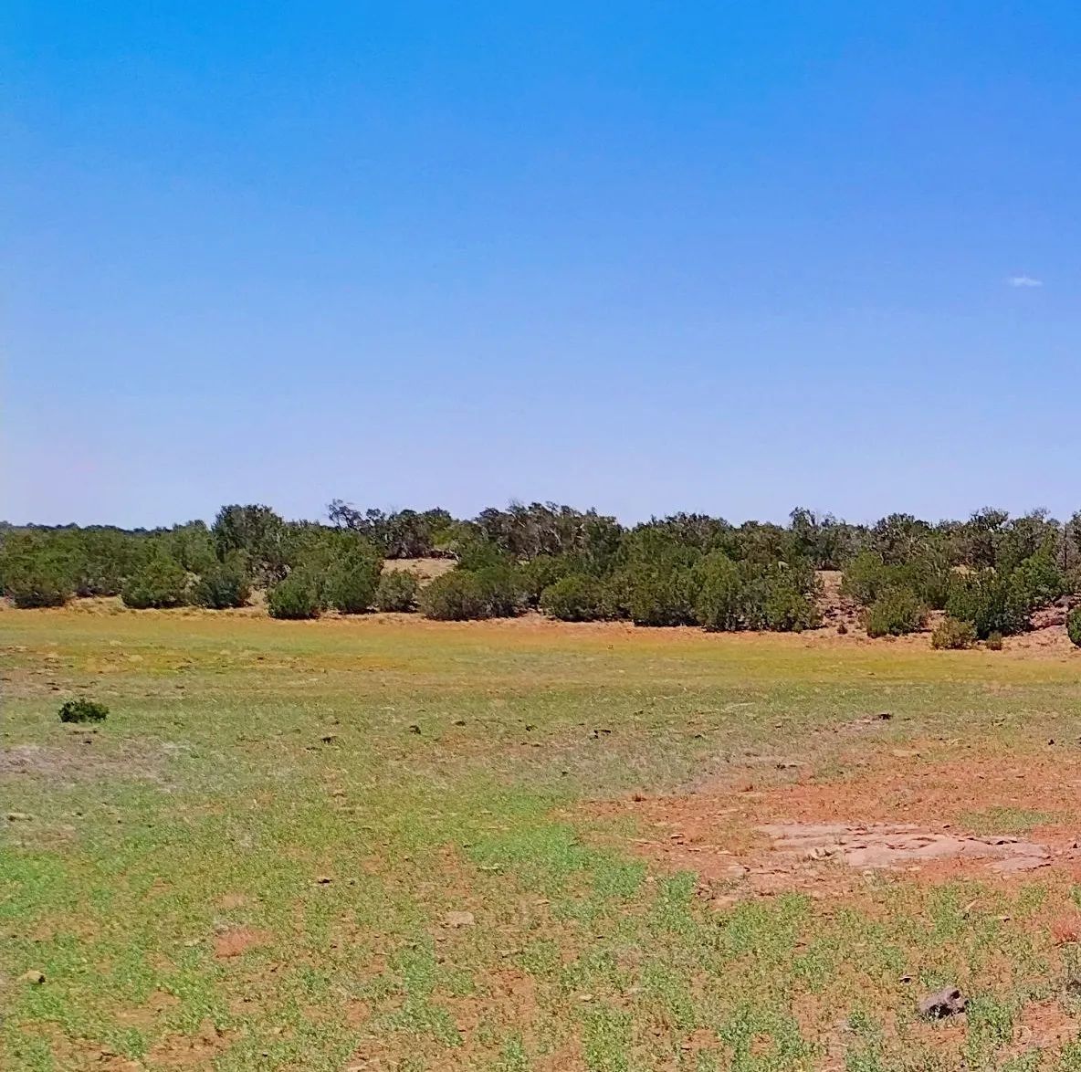 Good roads, close to Concho AND Show Low - Image 2