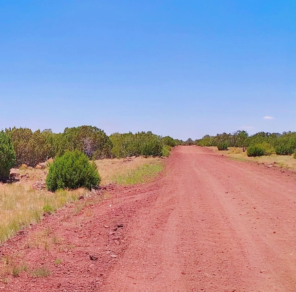 Good roads, close to Concho AND Show Low - Image 3