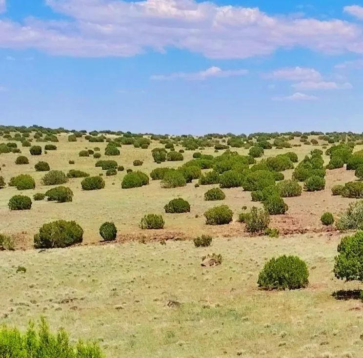 Good roads, close to Concho AND Show Low - Image 4