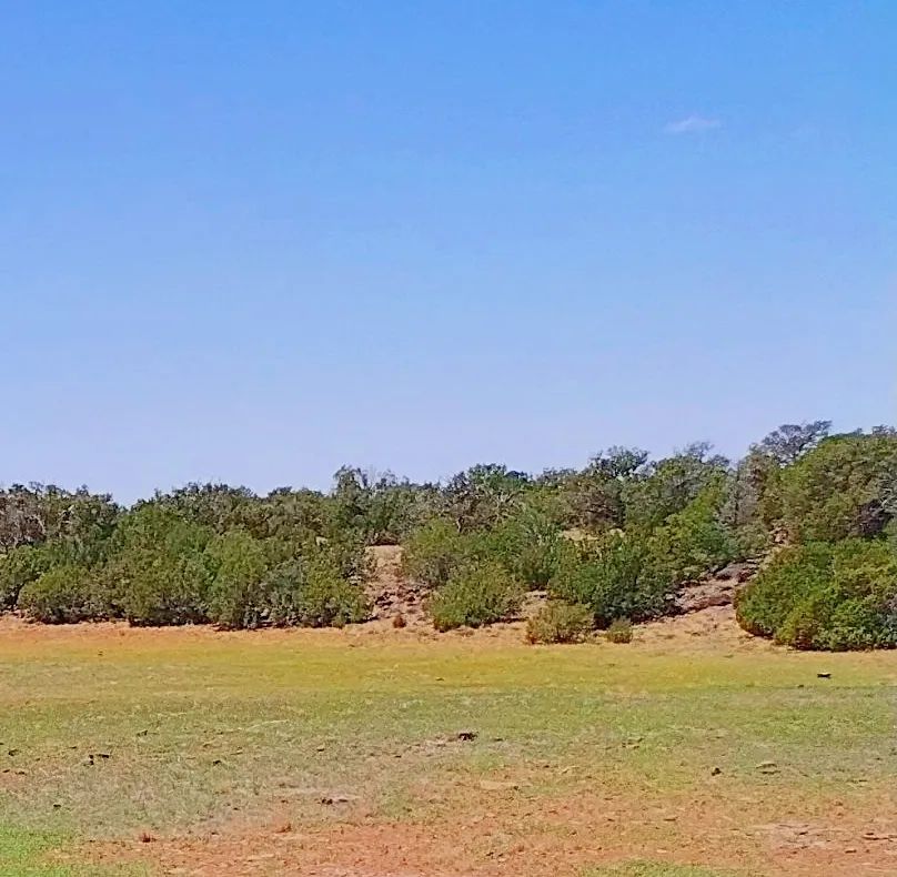 Decorative background for Good roads, close to Concho AND Show Low image 5