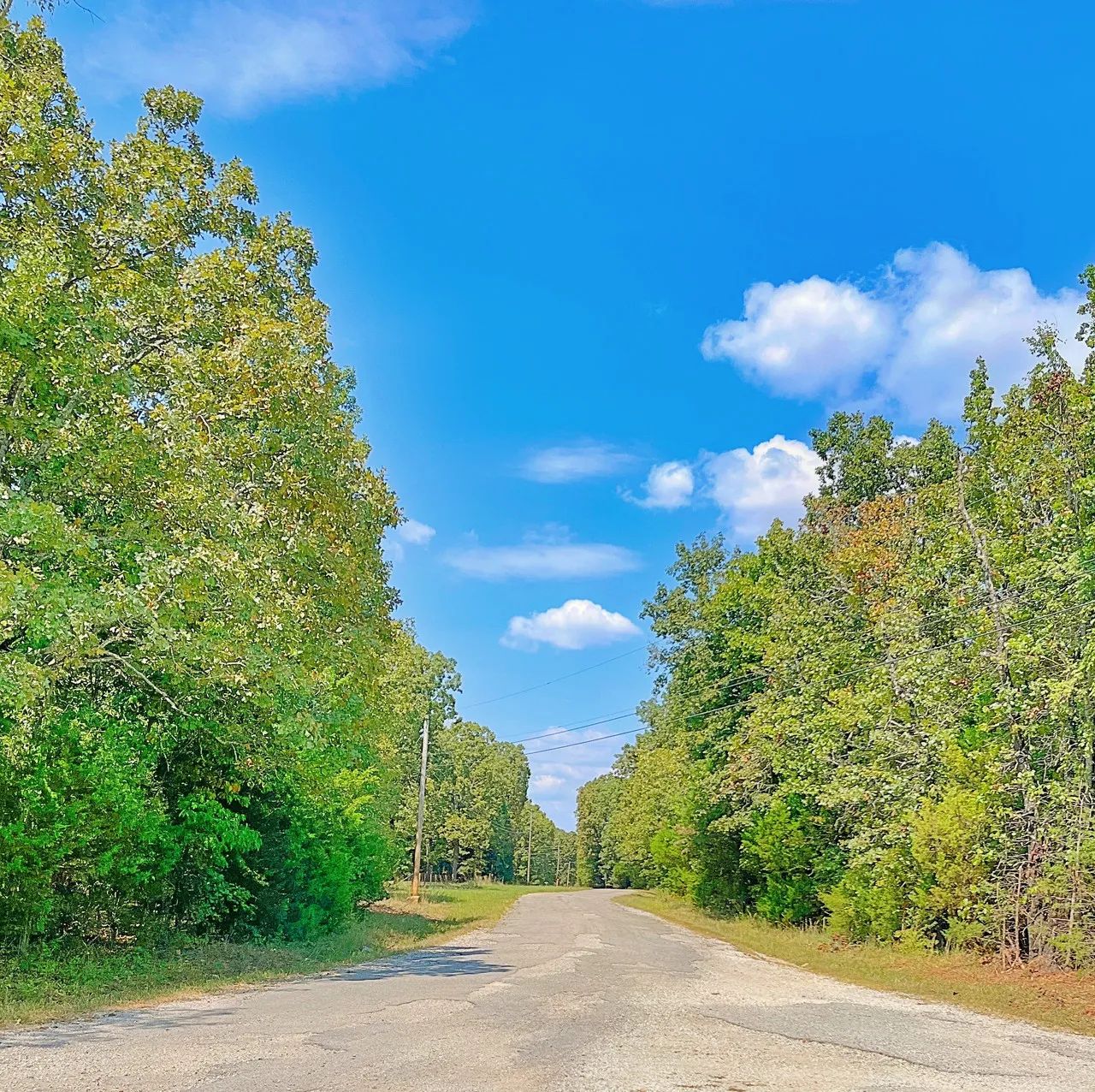 Your Private Half Acre — Where Neighbors Are Optional