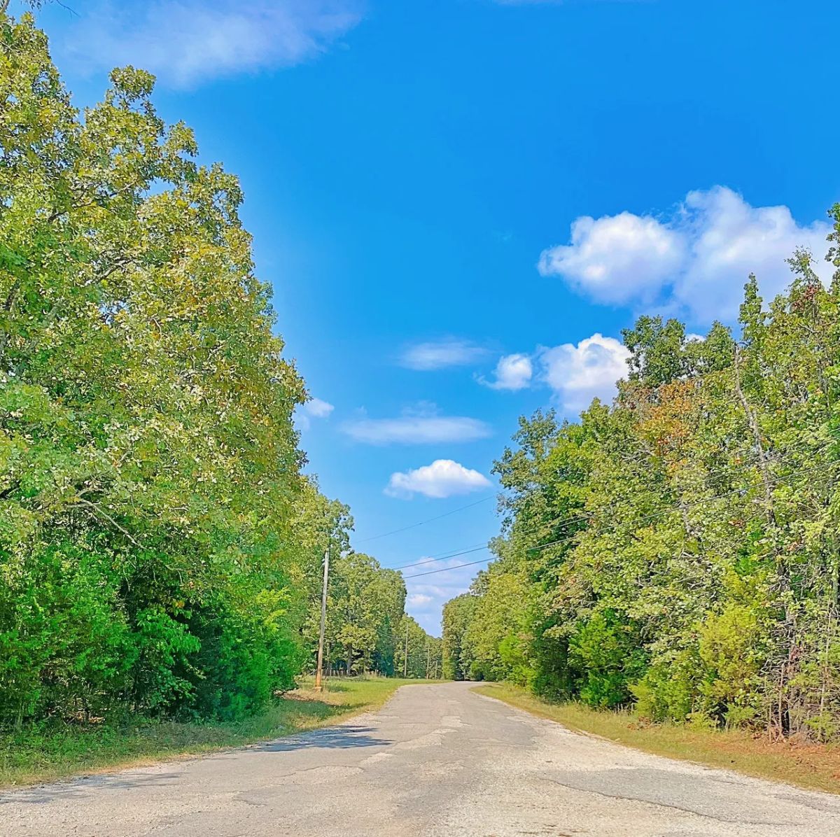 Your Private Half Acre — Where Neighbors Are Optional - Main image