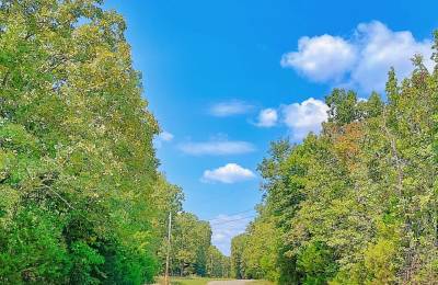 Your Private Half Acre — Where Neighbors Are Optional