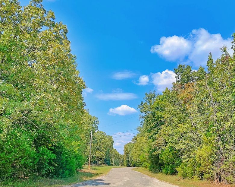 Your Private Half Acre — Where Neighbors Are Optional in Izard County, AR