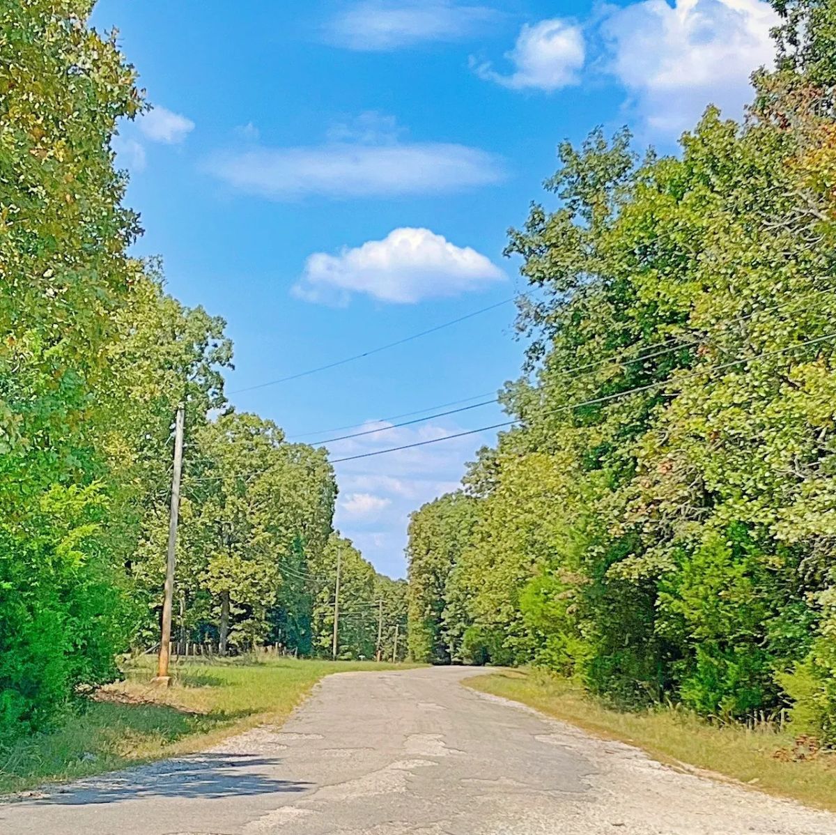 Decorative background for Your Private Half Acre — Where Neighbors Are Optional image 6
