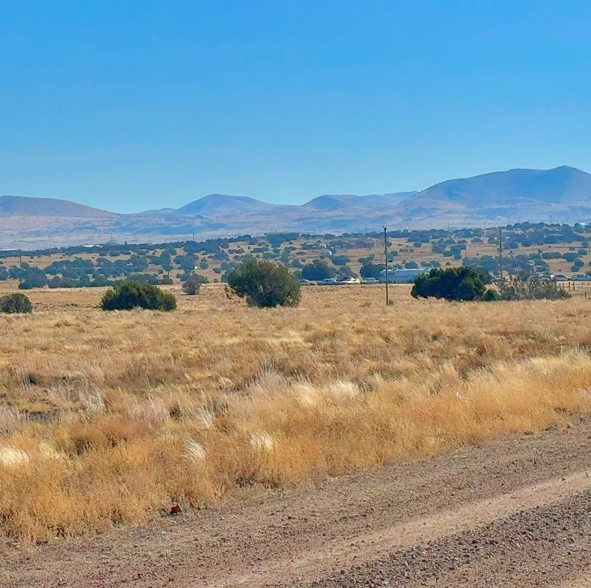 Build Your Tiny Home or Cabin on This 1.04-Acre Lot in Concho, AZ - Image 2