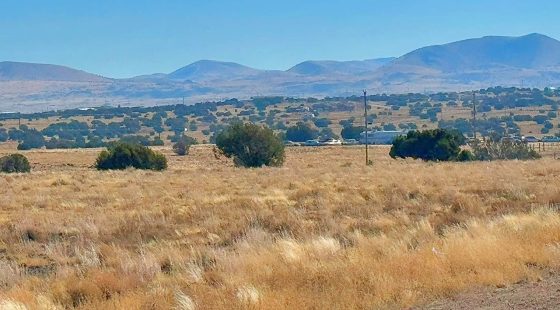 Build Your Tiny Home or Cabin on This 1.04-Acre Lot in Concho, AZ in Apache County, AZ