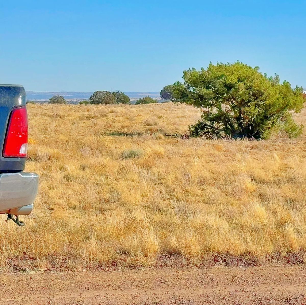 Build Your Tiny Home or Cabin on This 1.04-Acre Lot in Concho, AZ - Image 3