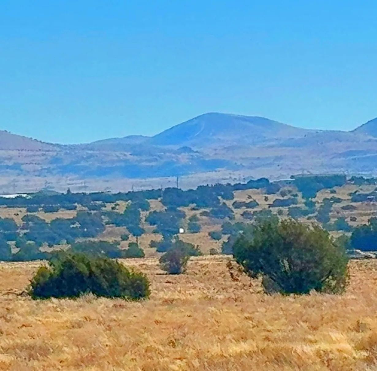 Build Your Tiny Home or Cabin on This 1.04-Acre Lot in Concho, AZ in Apache County, AZ