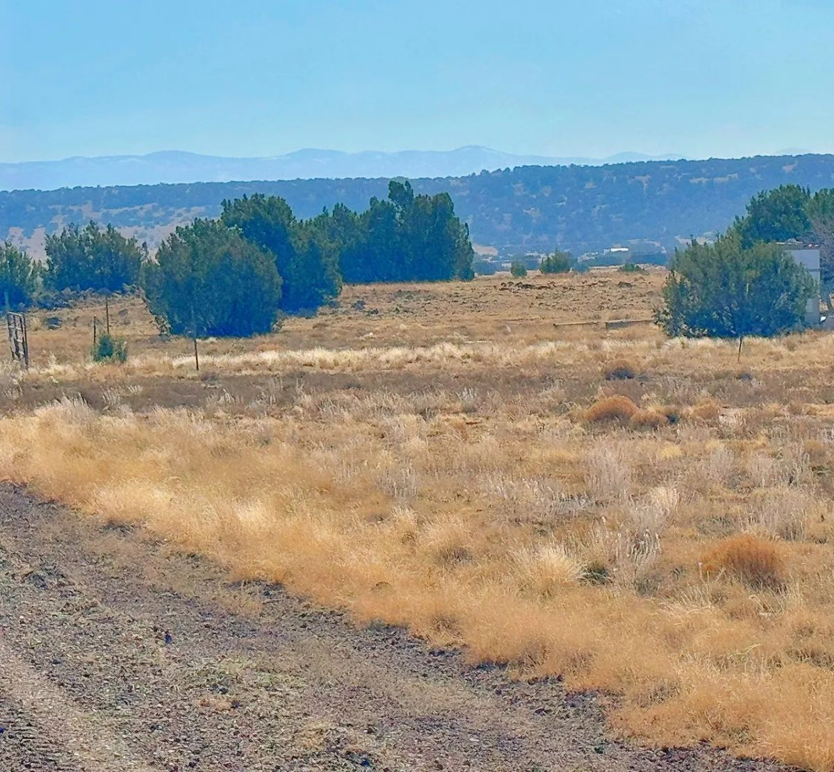 Decorative background for Build Your Tiny Home or Cabin on This 1.04-Acre Lot in Concho, AZ image 5