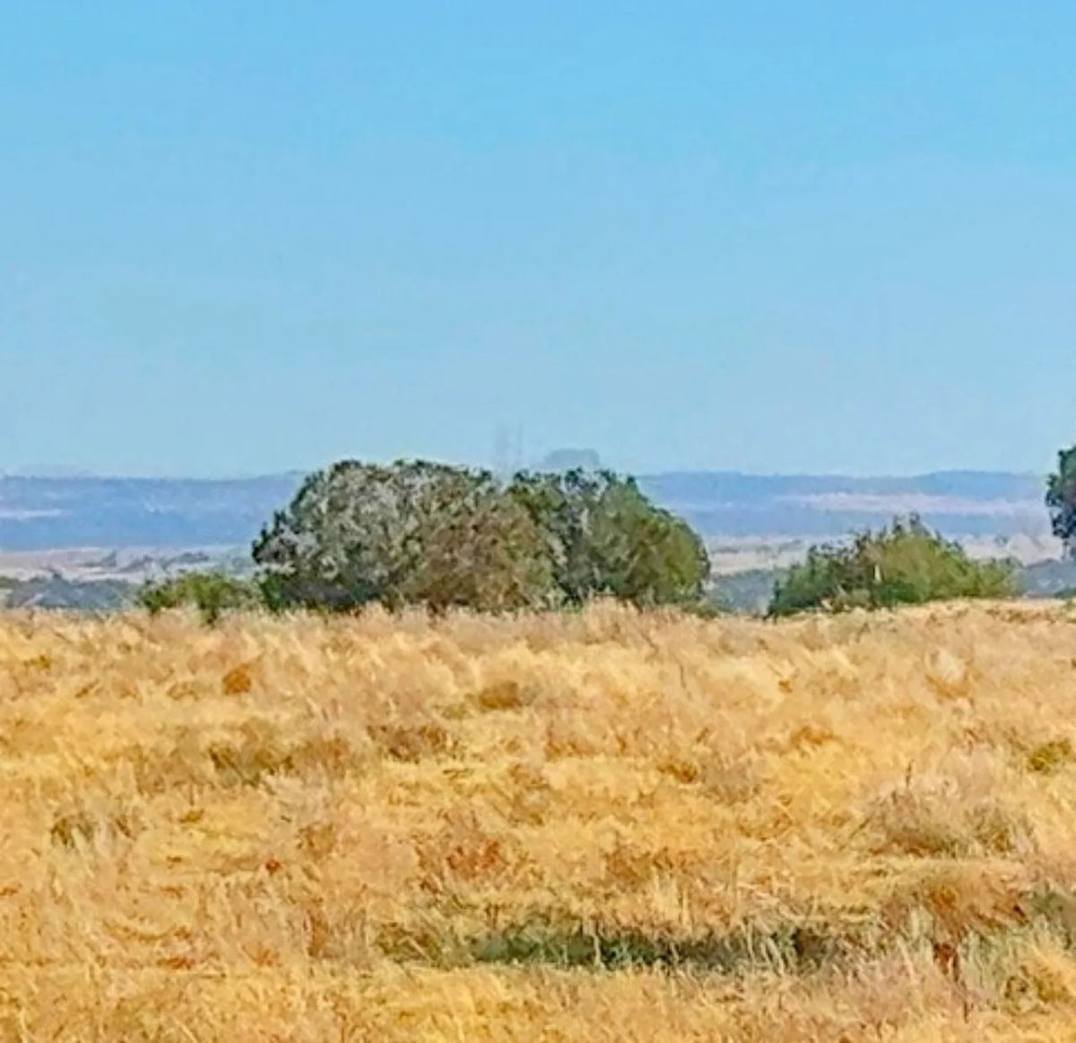 Decorative background for Build Your Tiny Home or Cabin on This 1.04-Acre Lot in Concho, AZ image 7