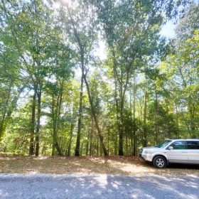Lake Views Without the Lakefront Price in Izard County, AR