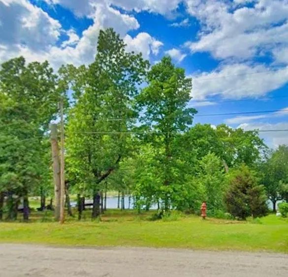 Decorative background for Lake Views Without the Lakefront Price image 6