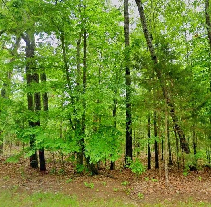 Decorative background for Lake Views Without the Lakefront Price image 8
