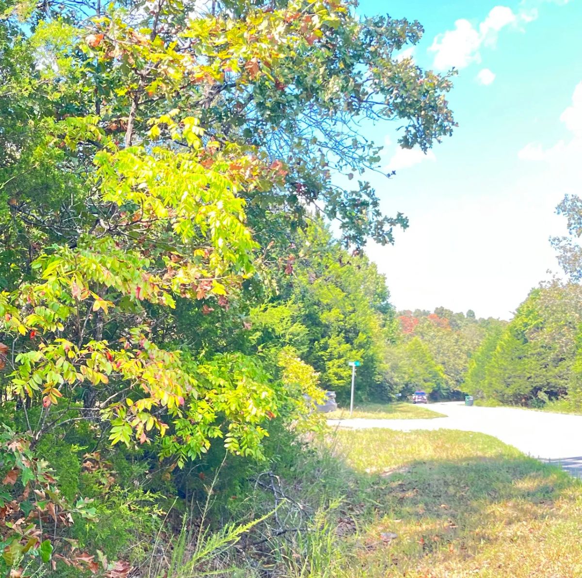Discover Your Future Oasis on this Charming 0.43-Acre Corner Lot in Horseshoe Bend, AR! - Main image