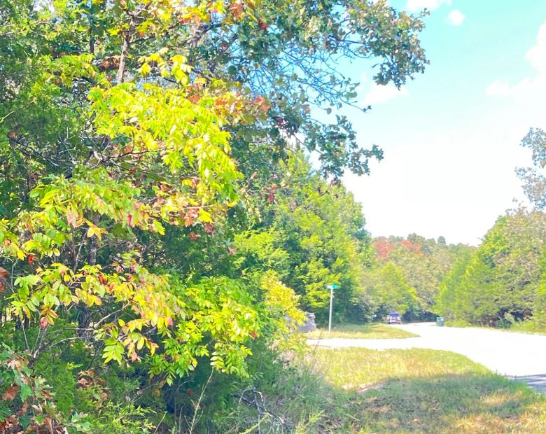 Discover Your Future Oasis on this Charming 0.43-Acre Corner Lot in Horseshoe Bend, AR! in Izard County, AR