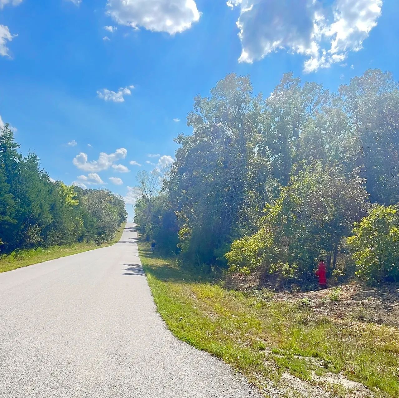 Discover Your Future Oasis on this Charming 0.43-Acre Corner Lot in Horseshoe Bend, AR! in Izard County, AR