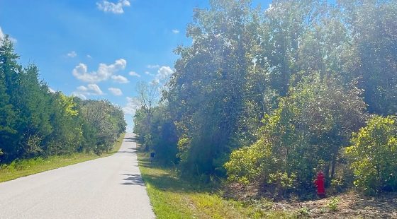 Discover Your Future Oasis on this Charming 0.43-Acre Corner Lot in Horseshoe Bend, AR! in Izard County, AR