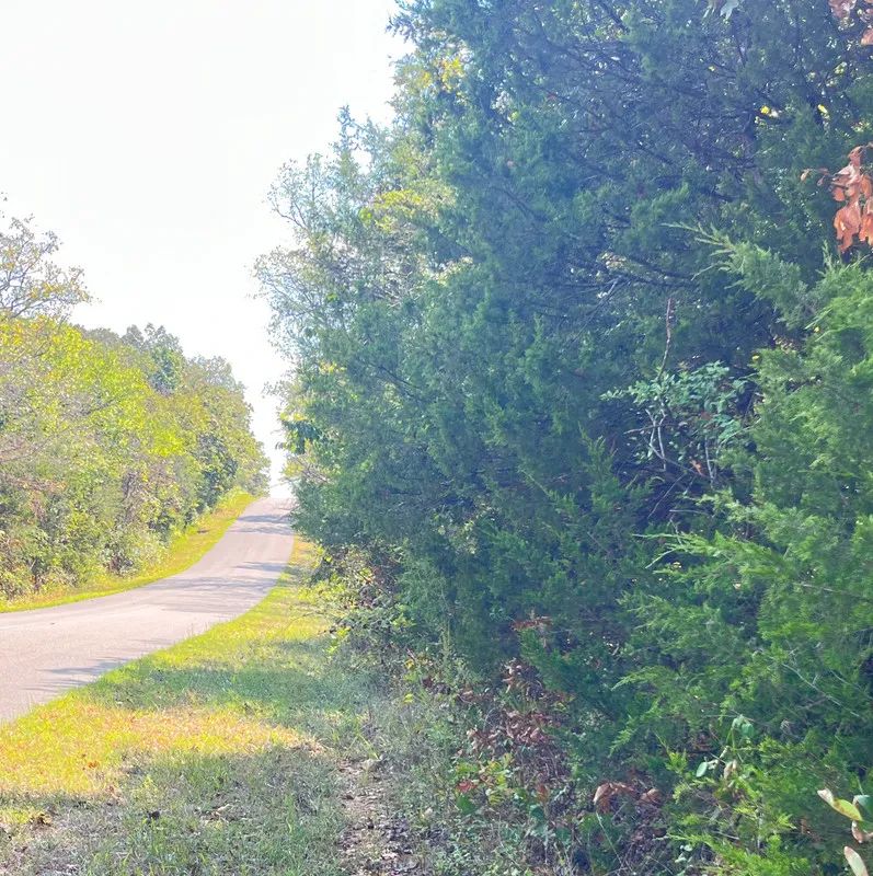 Discover Your Future Oasis on this Charming 0.43-Acre Corner Lot in Horseshoe Bend, AR! in Izard County, AR