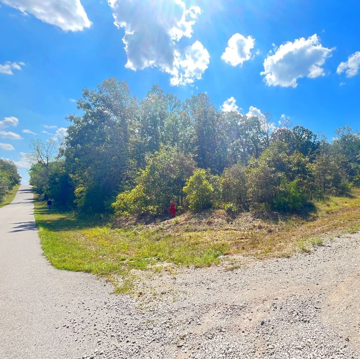 Decorative background for Discover Your Future Oasis on this Charming 0.43-Acre Corner Lot in Horseshoe Bend, AR! image 5