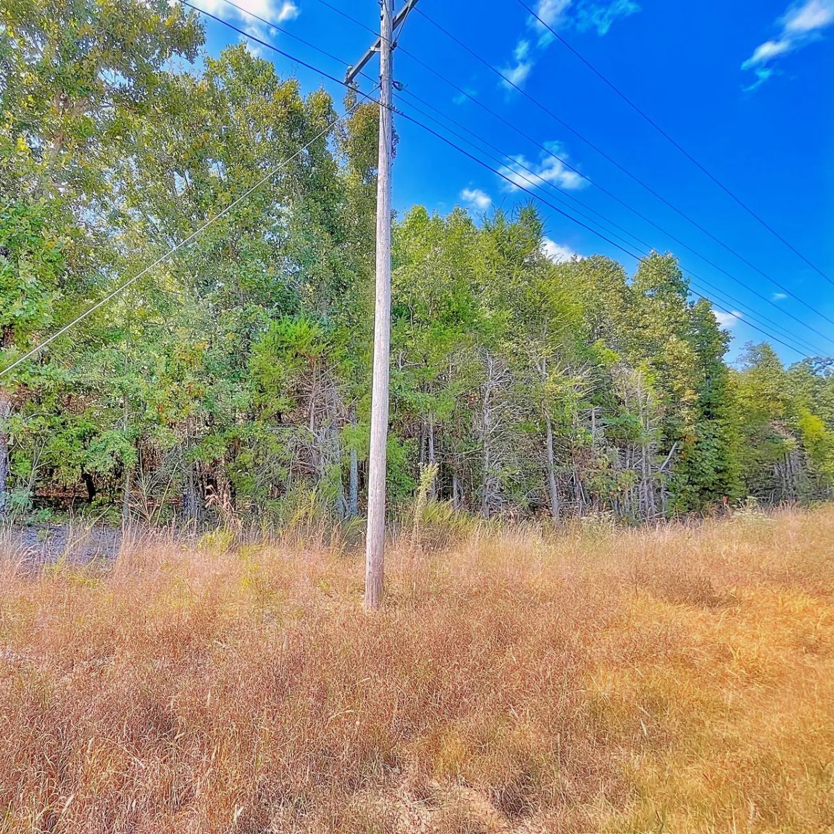 Simple Living Near the Lake and Golf Course - Image 3
