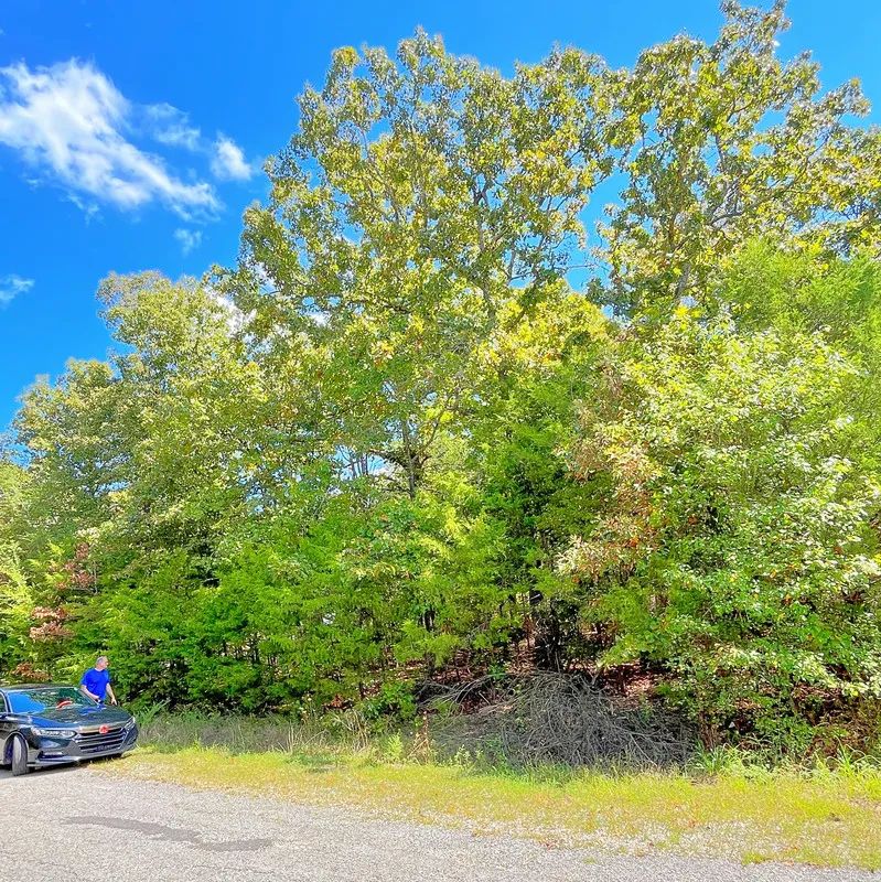 Large Corner Lot - 2 Blocks from Crown Lake - Main image