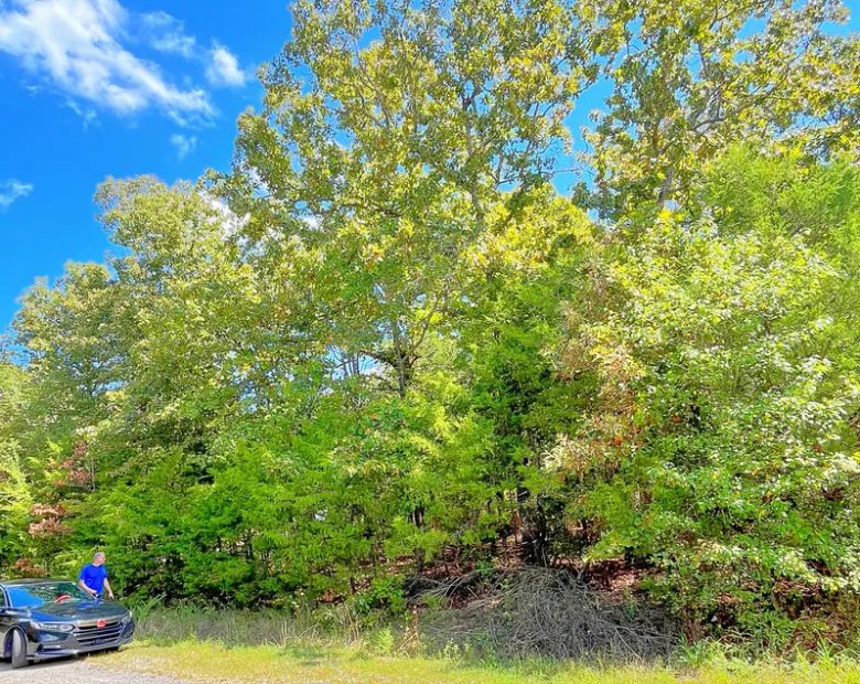 Large Corner Lot - 2 Blocks from Crown Lake in Izard County, AR