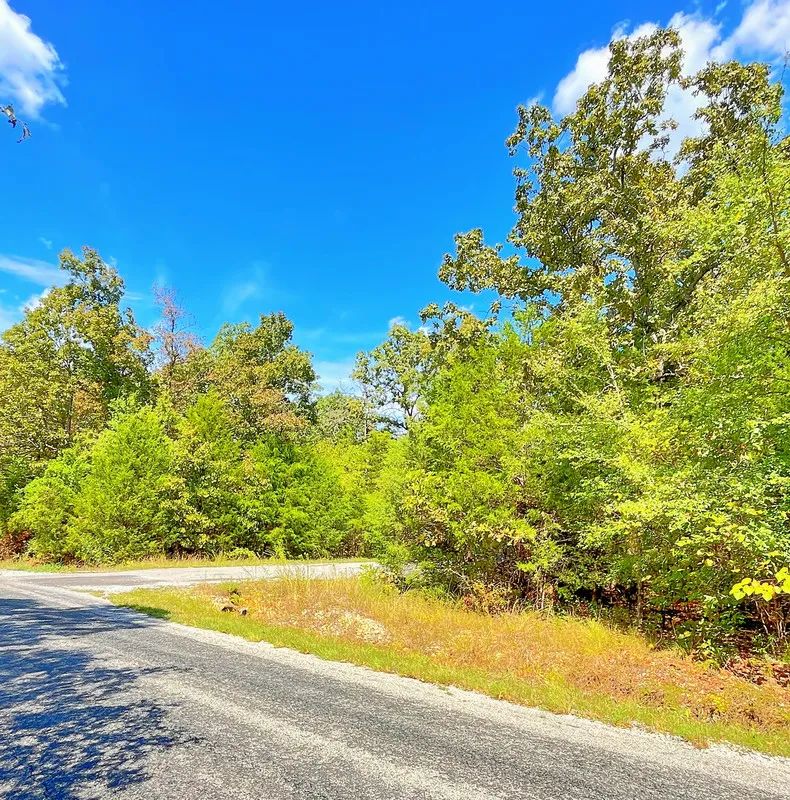 Large Corner Lot - 2 Blocks from Crown Lake in Izard County, AR