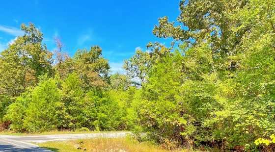 Large Corner Lot - 2 Blocks from Crown Lake in Izard County, AR