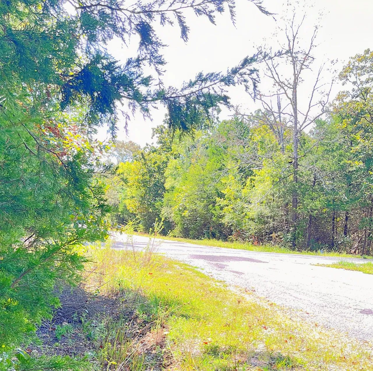 Large Corner Lot - 2 Blocks from Crown Lake in Izard County, AR