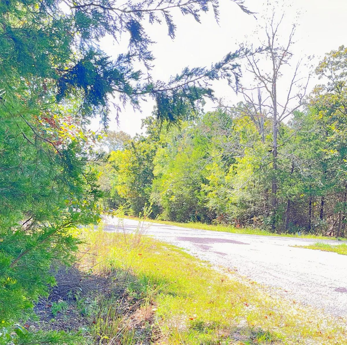 Large Corner Lot - 2 Blocks from Crown Lake - Image 3