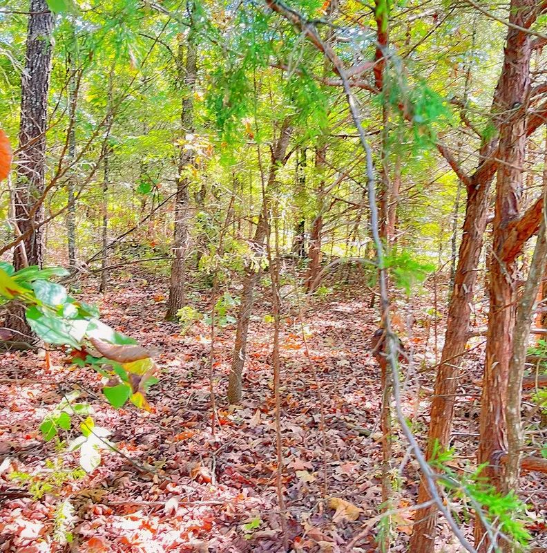 Large Corner Lot - 2 Blocks from Crown Lake - Image 4