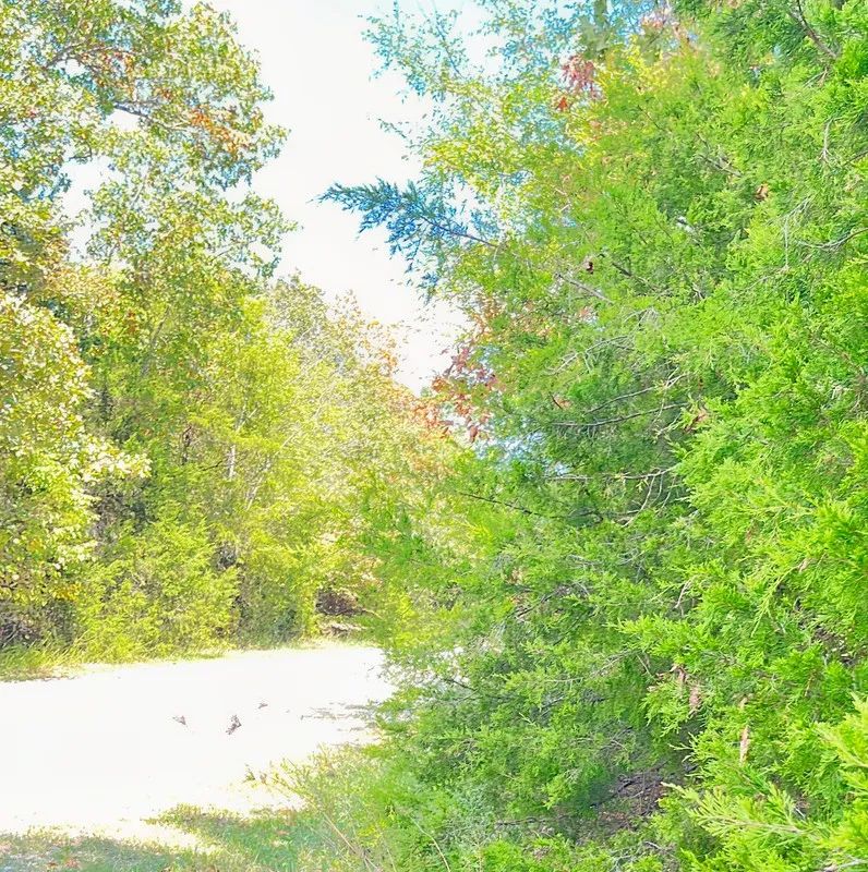 Decorative background for Large Corner Lot - 2 Blocks from Crown Lake image 5