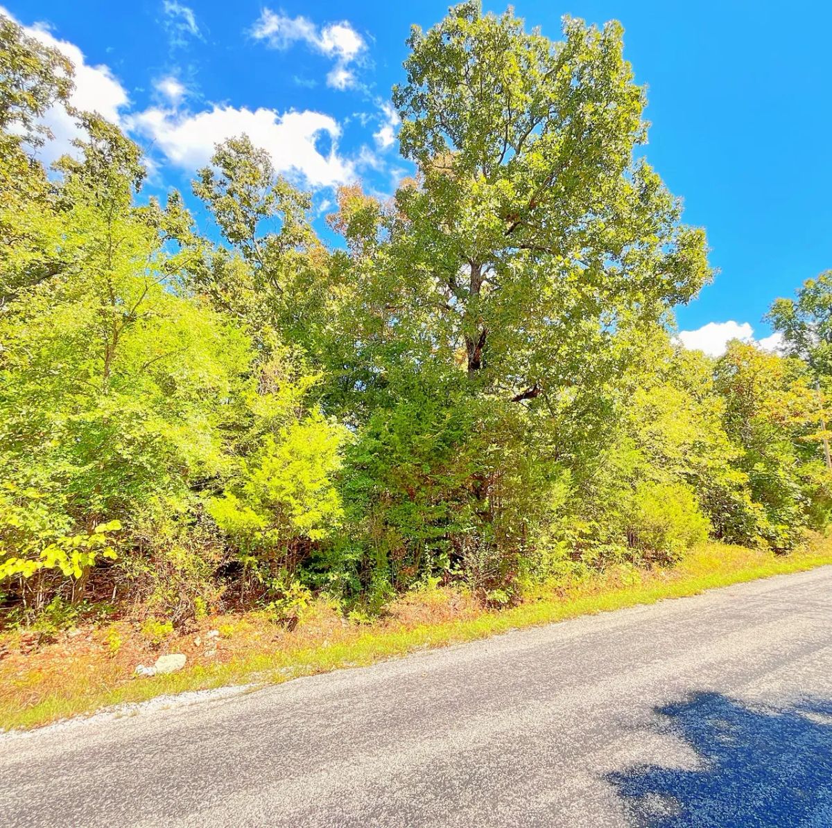 Decorative background for Large Corner Lot - 2 Blocks from Crown Lake image 6