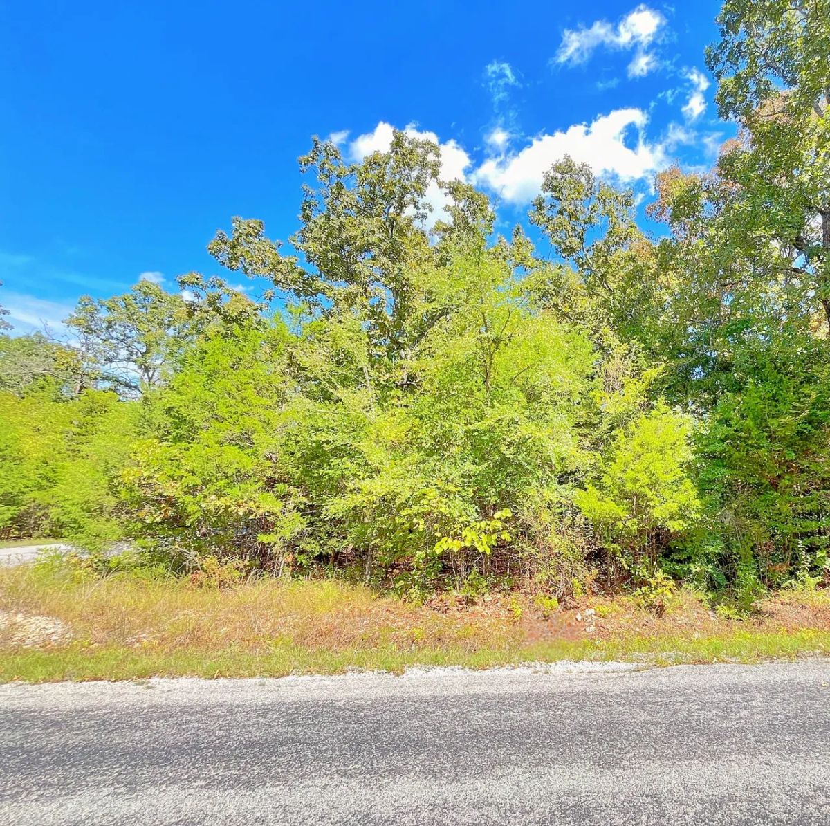 Decorative background for Large Corner Lot - 2 Blocks from Crown Lake image 7