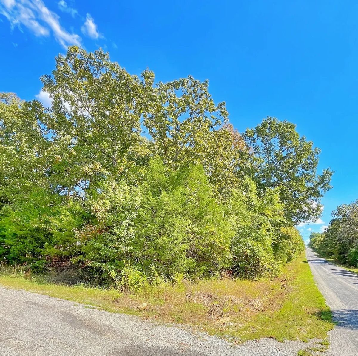 Decorative background for Large Corner Lot - 2 Blocks from Crown Lake image 8