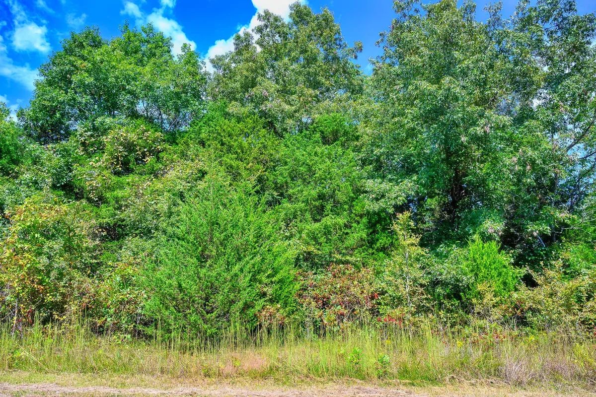 Discover Serenity: Secure Your Retirement Sanctuary in Horseshoe Bend! in Izard County, AR