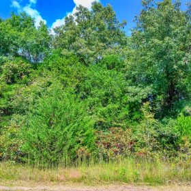 Discover Serenity: Secure Your Retirement Sanctuary in Horseshoe Bend! in Izard County, AR