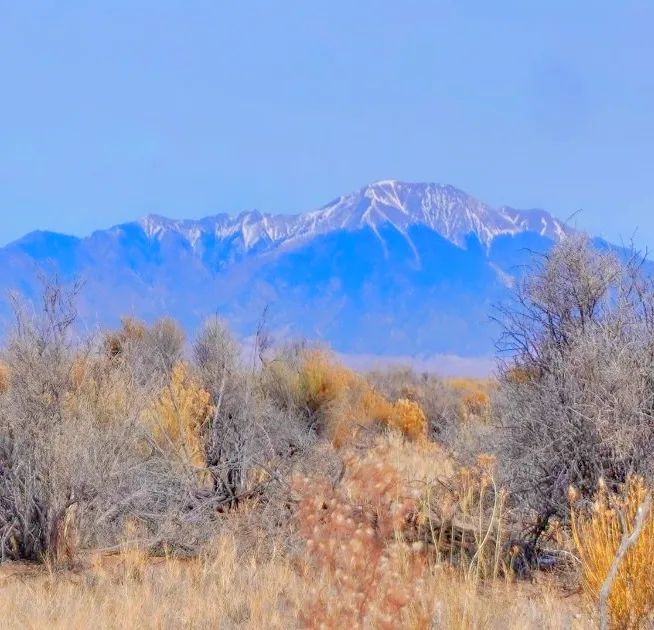 Our Most Beautiful Colorado Property: 5.36 acres next to the Blanca Wetlands Wildlife Habitat in Alamosa, CO - Image 3