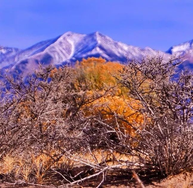 Our Most Beautiful Colorado Property: 5.36 acres next to the Blanca Wetlands Wildlife Habitat in Alamosa, CO - Image 4