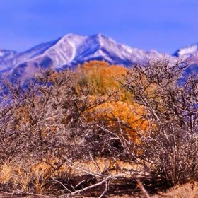 Our Most Beautiful Colorado Property: 5.36 acres next to the Blanca Wetlands Wildlife Habitat in Alamosa, CO in Alamosa County, CO