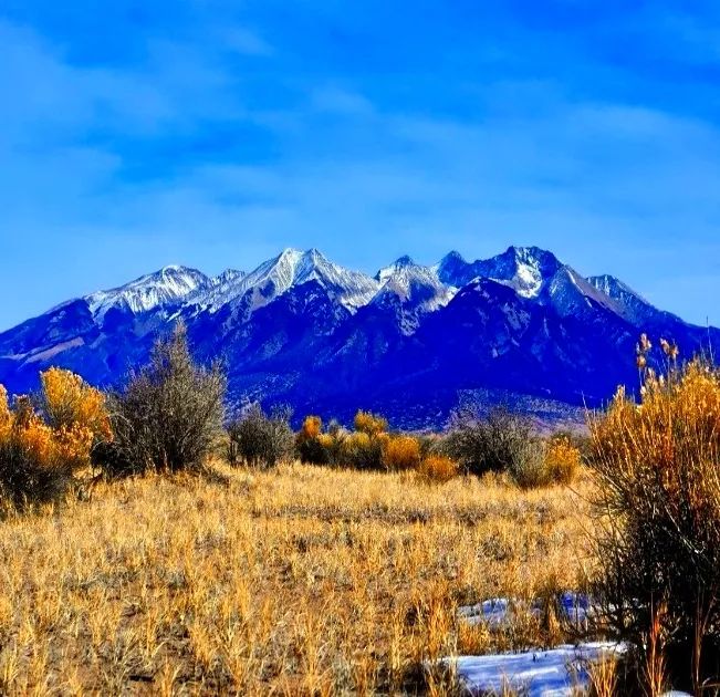Decorative background for Our Most Beautiful Colorado Property: 5.36 acres next to the Blanca Wetlands Wildlife Habitat in Alamosa, CO image 7
