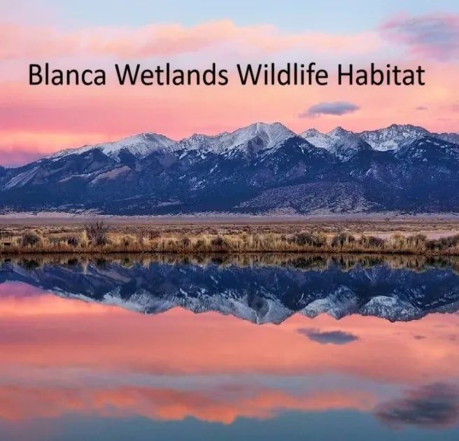 Decorative background for Our Most Beautiful Colorado Property: 5.36 acres next to the Blanca Wetlands Wildlife Habitat in Alamosa, CO image 8