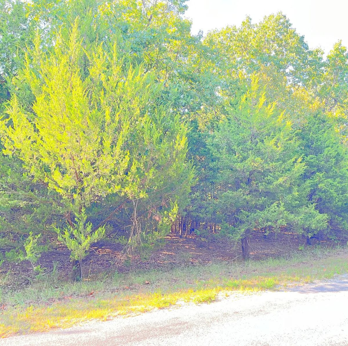 Private Retreat Backing Up to Hundreds of Acres of Unused Land - Main image
