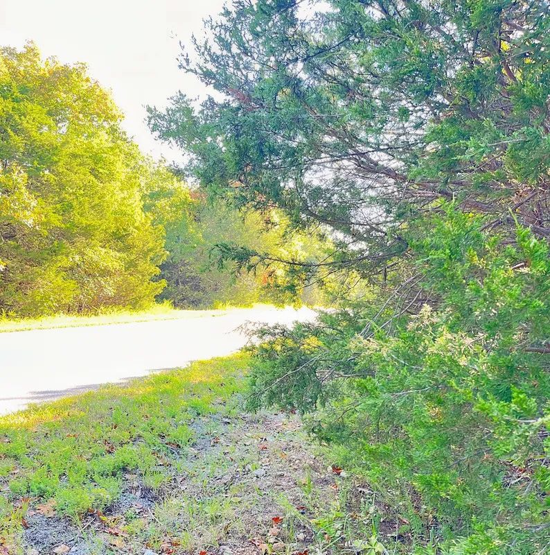 Private Retreat Backing Up to Hundreds of Acres of Unused Land - Image 2
