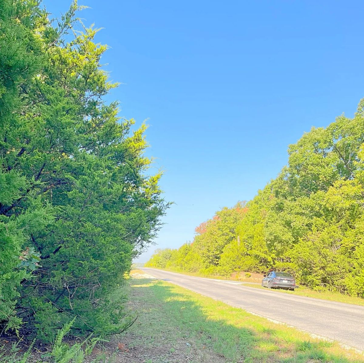 Decorative background for Private Retreat Backing Up to Hundreds of Acres of Unused Land image 5