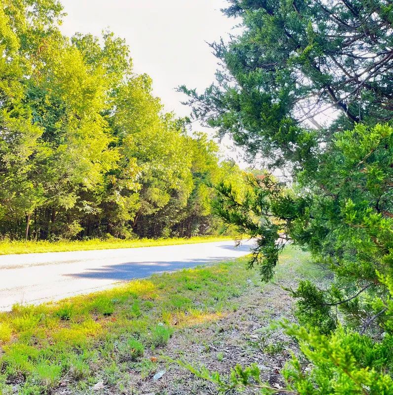 Decorative background for Private Retreat Backing Up to Hundreds of Acres of Unused Land image 6