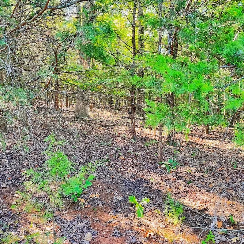 Decorative background for Private Retreat Backing Up to Hundreds of Acres of Unused Land image 7