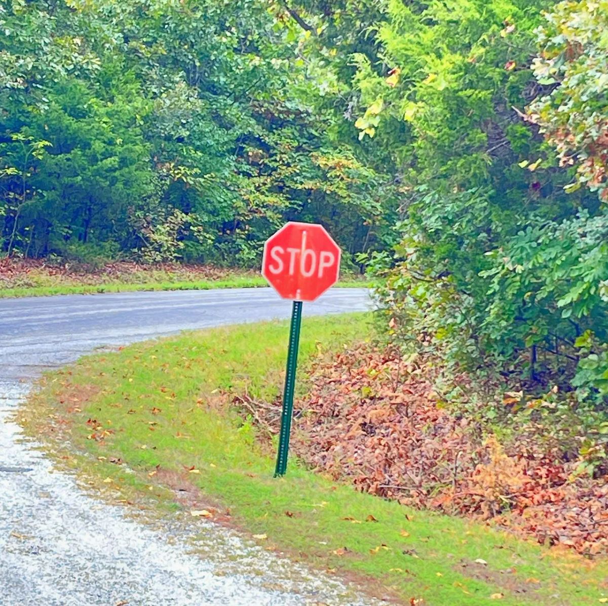 Simple Living Between Two Beautiful Ozark Lakes - Image 4